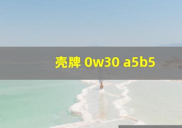 壳牌 0w30 a5b5